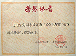 2007年度菊花狀元.jpg